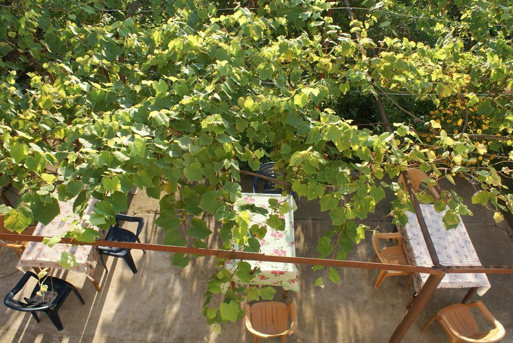 Merabi And Neli Guest House Makhinjauri Quarto foto